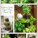 Container Garden Tips and Tricks Round Up From Nikki In Stitches