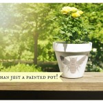More than just a painted pot! - Silhouette Specialy Media Promo