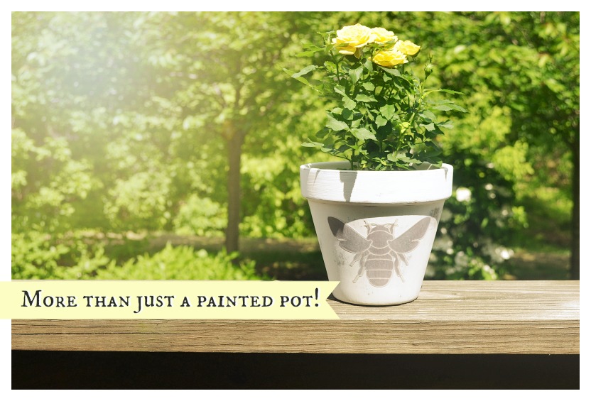 More than just a painted pot! - Silhouette Specialy Media Promo