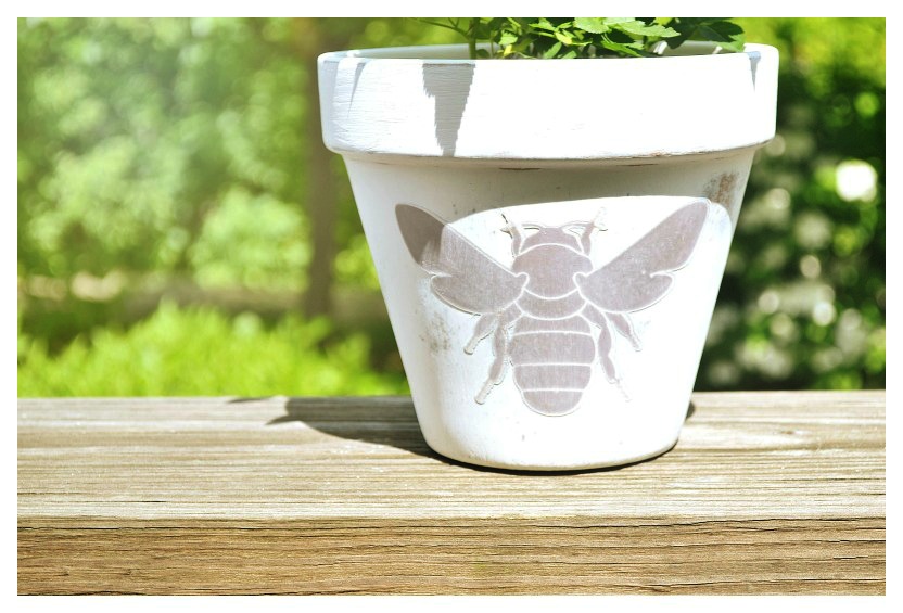 how to use silhouette clear sticker paper - apply sticker to pot and sand again